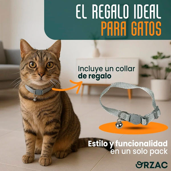 81dFUdf7iNL._AC_SL1500_