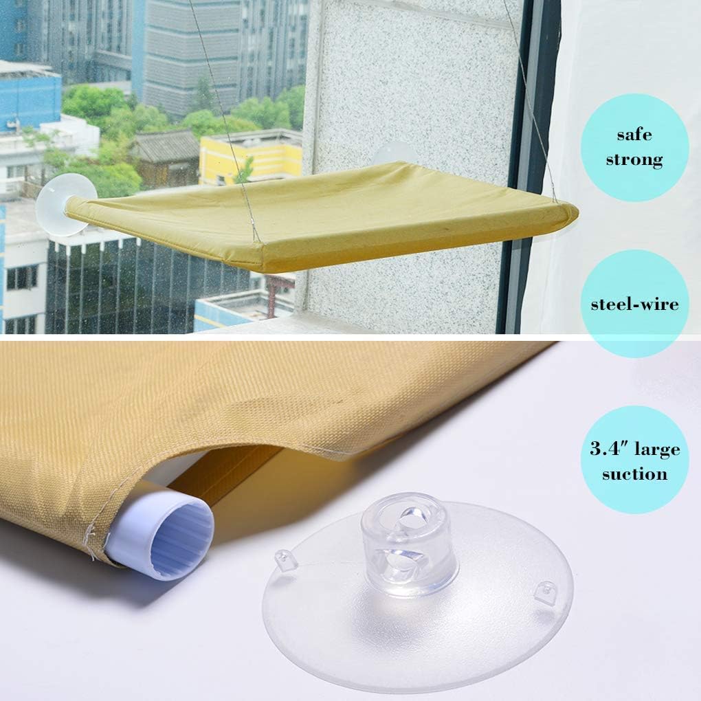 61XBfCsEWwL._AC_SL1020_