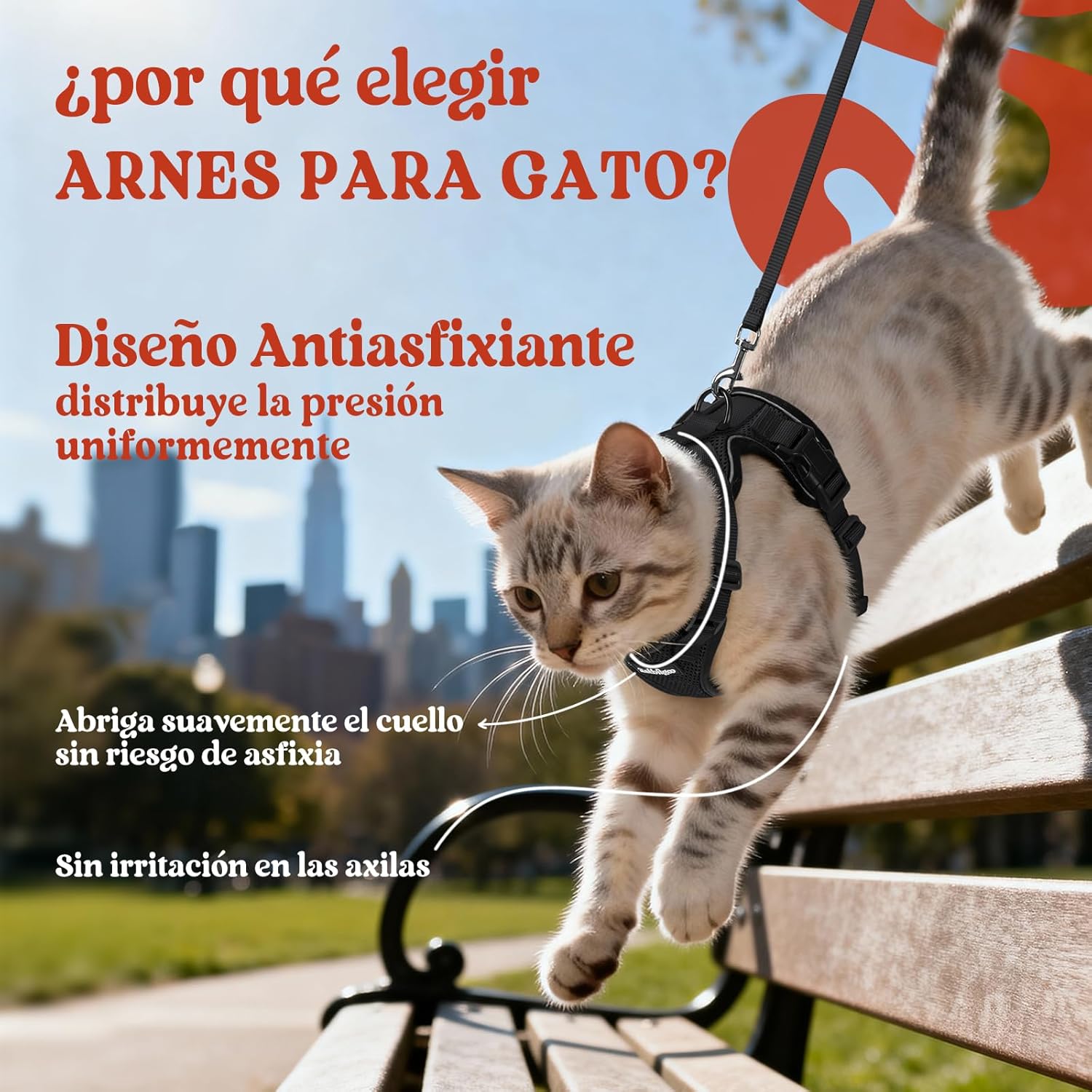 71JKt2SjImL._AC_SL1500_