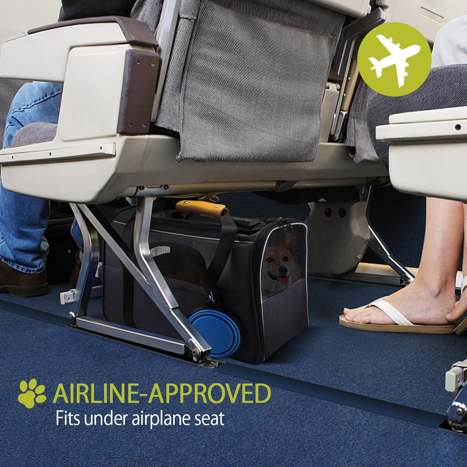 81-o+qJYKDL._AC_SL1500_