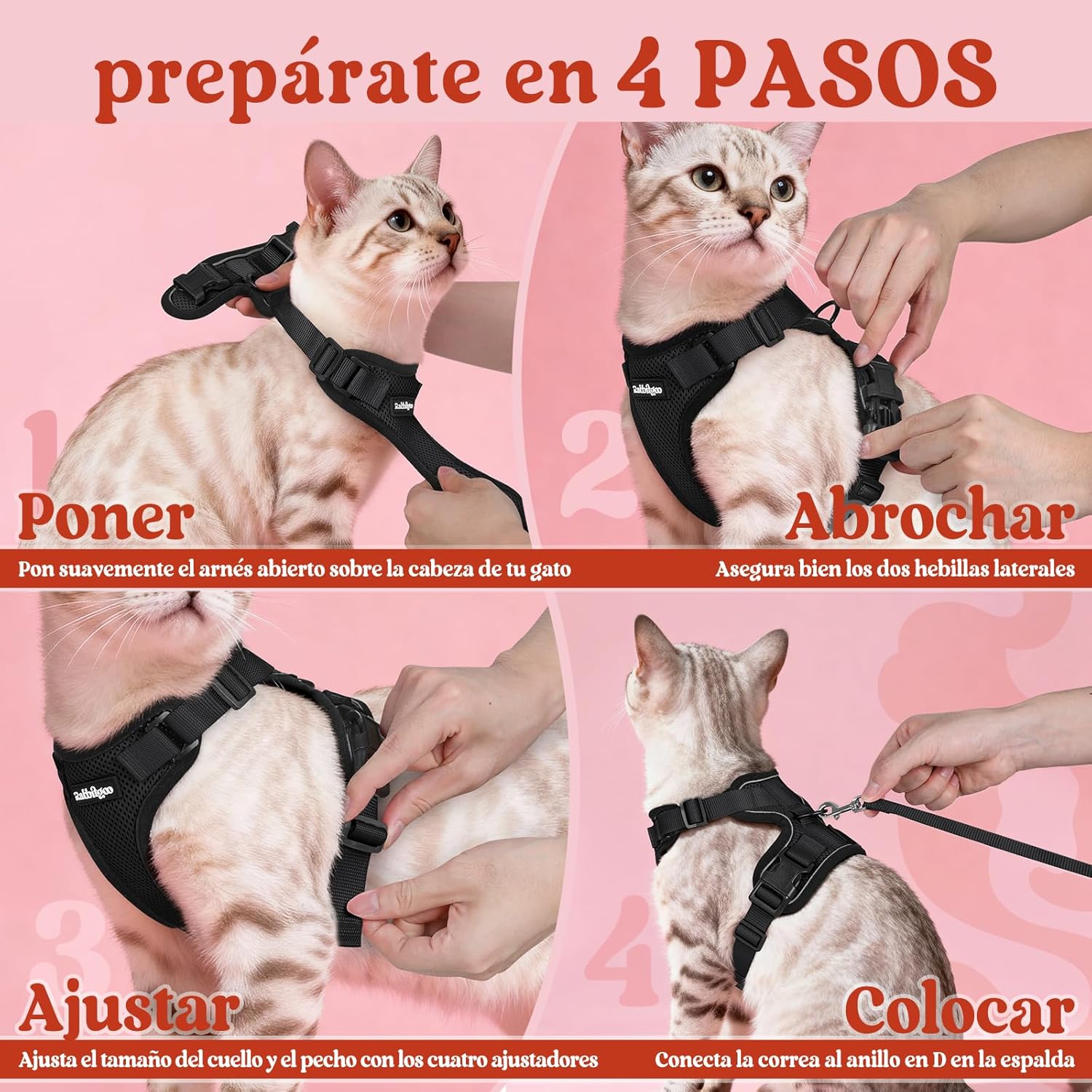 81or79p4KPL._AC_SL1500_